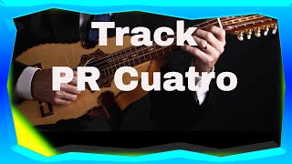 Backing Track Andalusian Cadence For Puerto Rican Cuatro Presto 150 bpm [upl. by Aihsenal776]