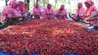 Mouth Watering Chukai Chutney  Roselle Flowers Recipe  Ambali Pickle  Delicious Village Food [upl. by Enerual]