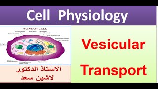 Cell PhysiologyVesicular TransportLashin دزلاشين [upl. by Eatnhoj]