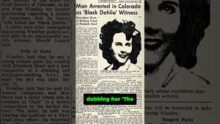 True Crime Mystery The Black Dahlia Murder [upl. by Llerrahs124]