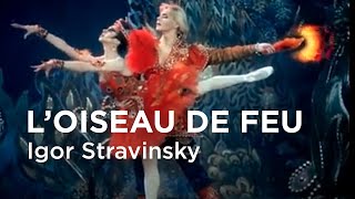 Oiseau de feu  Stravinsky  extrait  Nina Ananiashvili [upl. by Eldred]