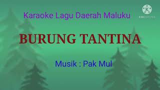 BURUNG TANTINA  KARAOKE BELAJAR MENYANYI [upl. by Sikko]