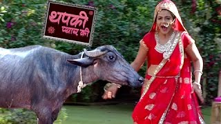 Thapki Gets Scared Of A Buffalo  Thapki Pyar Ki  थपकी प्यार की  TellyMasala [upl. by Eive834]