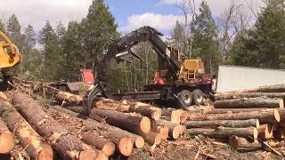 LyonsampTenney Timber Harvesting [upl. by Esinahs]