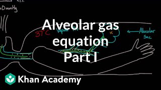 Alveolar gas equation  part 1  Respiratory system physiology  NCLEXRN  Khan Academy [upl. by Leopold756]