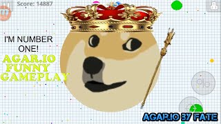 Agario  HAIL KING DOGE  Funny Footage Gameplay AndroidiOS [upl. by Torras]