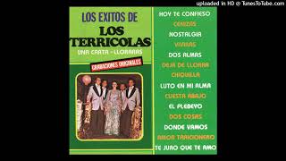 Los Terrícolas  Viviras Audio Remasterizado 2022 [upl. by Aronoel]