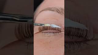 Lash Lift eyelashlift youtubecreator youtubeshorts lashextensions lashperm lashperfection [upl. by Largent]