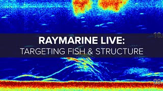 Raymarine Live Targeting Fish and Structure with Sonar [upl. by Myna]