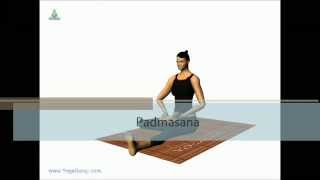 PadmasanaYoga for back pain [upl. by Lokkin]