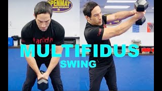 Lower Back Exercises  The Multifidus Swing [upl. by Spitzer]