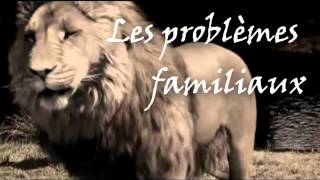 TRAILER OFFICIAL  LE LION [upl. by Annaiuq]