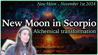 New Moon in Scorpio  November 1st 2024  Moon Omens [upl. by Frodi263]