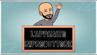 LApparato Riproduttore [upl. by Derr]