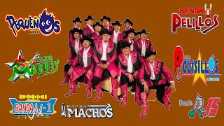 Quebraditas Mix  Banda Machos El Mexicano Zeta Maguey  Movil y Mas  Quebradita Mix De Los 90 [upl. by Nira]