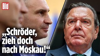 SchamlosInterview Schröder distanziert sich nicht von Putin  UkraineKrieg [upl. by Dallman552]