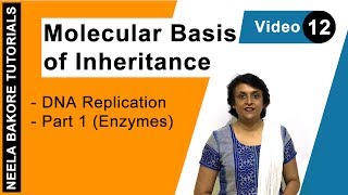 Molecular Basis of Inheritance  NEET  DNA Replication  Part 1 Enzymes  Neela Bakore Tutorials [upl. by Rekoob300]