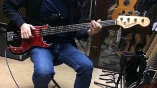 Selder Precision Bass sound [upl. by Zitvaa200]