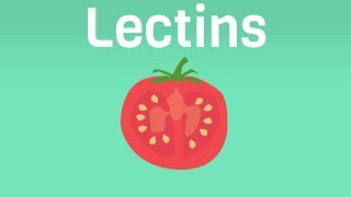 Turn Off Autoimmunity By Avoiding Lectins  The Plant Paradox by Steven Gundry [upl. by Demetrius668]