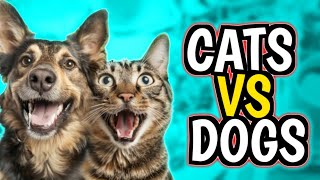 Epic Showdown Hilarious Cats vs Dogs 🐱🐶 the Ultimate Goofball 😂 [upl. by Eeznyl]