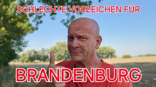 GRÜNES JAMMERTAL UND HOFFNUNG IN BRANDENBURG 👍 [upl. by Griggs]