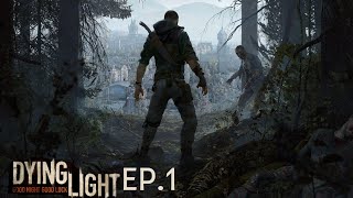 Iniziamo una nuova serie su DYING LIGHT tra zombi e combattimenti non so cosa può succedere [upl. by Aedrahs]