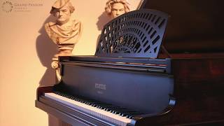 Fully rebuilt 1914 Pleyel Modèle 3 grand piano [upl. by Attennek]