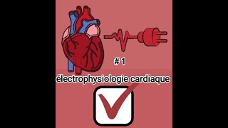 1électrophysiologie cardiaque physiologie cardiorepiratoire 2éme MED [upl. by Neiviv]