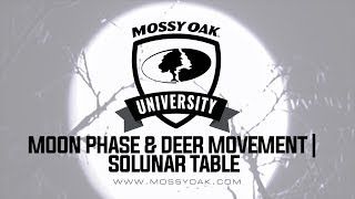 Moon Phase and Deer Movement  Solunar Table [upl. by Ayekel]