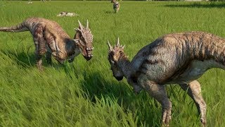 Dracorex VS Dracorex  Jurassic World Evolution [upl. by Sueahccaz]