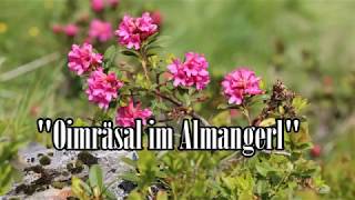 Oimräsalmusi  Oimräsal im Almangerl [upl. by Ennaeerb]