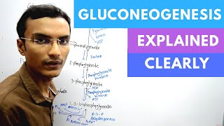 Gluconeogenesis Biochemistry [upl. by Mahgem]