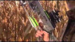 Meet Excalibur Crossbows  Presented By TheCrossbowStorecom [upl. by Waddington]