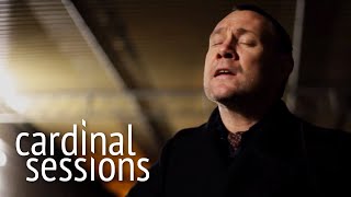 David Gray  Accumulates  CARDINAL SESSIONS [upl. by Albric]