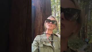 Jennifer Siebel Newsom First Partner Of California visits Jedediah Smith Redwood State Park [upl. by Yv]