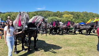 Târgul de cai de la Gura Putnei Bucovina 17 Septembrie 2023 NOU [upl. by Annoled]