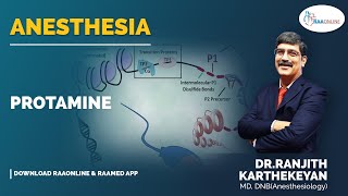 Anesthesia  Protamine  Raaonline anesthesia anesthesiology anesthesiologist protamine [upl. by Kimitri]