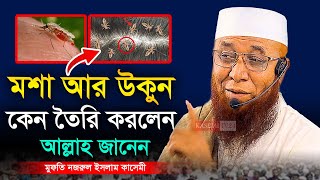 মশা আর উকুন কেন তৈরি করলেন আল্লাহ । মুফতি নজরুল ইসলাম কাসেমী । Mufti Nazrul Islam Kasemi [upl. by Nitreb540]