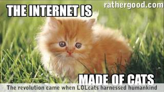 The Internet Is Made Of Cats [upl. by Analed879]