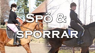 SÅ ANVÄNDER VI SPORRAR OCH SPÖ  Börja rida [upl. by Anitsyrhk]