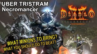 D2R Uber Tristram Necromancer  Summon Build  Diablo 2 Resurrected [upl. by Gerda760]