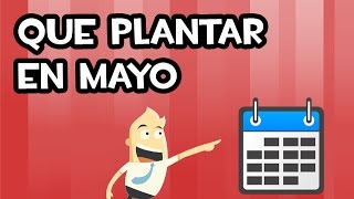 Que SEMBRAR y PLANTAR en MAYO  Calendario de Siembra [upl. by Nahtnahoj]