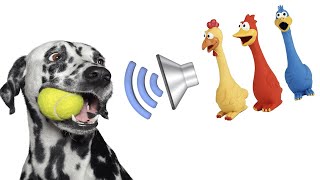 Dog Squeaky Toy  Sounds that attract your dogs attention HQ [upl. by Gnuoy]