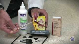 Animal Health Hospital How To Clean Your Pets Ears [upl. by Zebada]