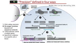 Precise Gene Editing of Human Pluripotent Stem Cells [upl. by Toddy]