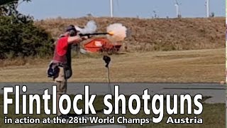 Flintlock shotguns in action at the World Championships [upl. by Melliw]