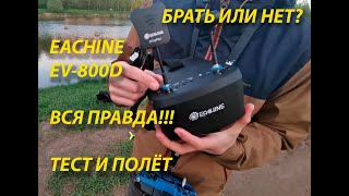 Лучший шлем для полётов на дальность с diversity Обзор шлема eachine EV800D и тесты [upl. by Suzzy]