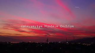 Ambarsariya Lyrical Fukrey  Sona Mohapatra [upl. by Dranyar128]