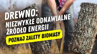 DREWNO  niezwykłe odnawialne źródło energii Poznaj zalety biomasy  Grupa Berski [upl. by Adabel486]