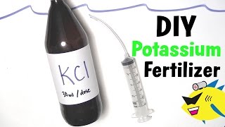 How To Make DIY Aquarium Plant Fertilizer Potassium [upl. by Gent967]